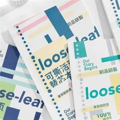 Cum să aranjezi paginile într-un caiet liber pentru un raport?