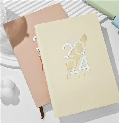 Caiet de program 2024